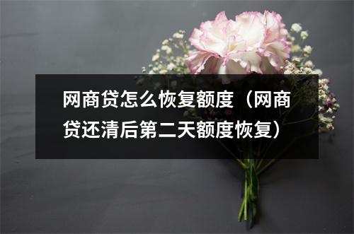 网商贷怎么恢复额度（网商贷还清后第二天额度恢复）