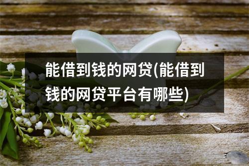 能借到钱的网贷(能借到钱的网贷平台有哪些)