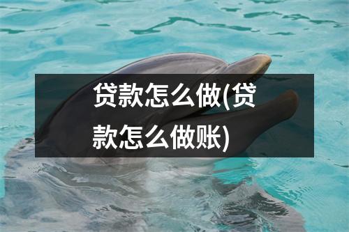 贷款怎么做(贷款怎么做账)