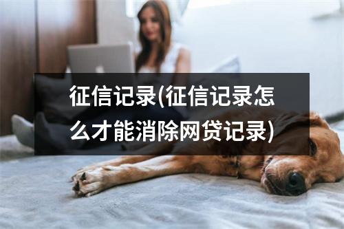 征信记录(征信记录怎么才能消除网贷记录)