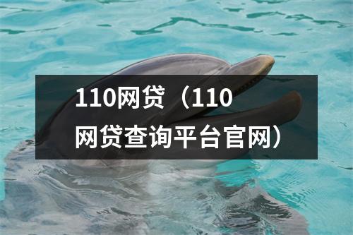 110网贷（110网贷查询平台官网）
