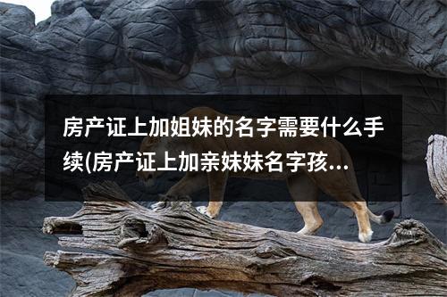 房产证上加姐妹的名字需要什么手续(房产证上加亲妹妹名字孩子可以上学吗)