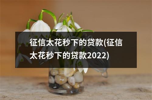 征信太花秒下的贷款(征信太花秒下的贷款2022)
