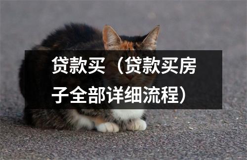 贷款买（贷款买房子全部详细流程）