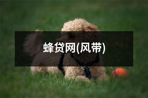 蜂贷网(风带)