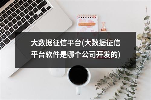 大数据征信平台(大数据征信平台软件是哪个公司开发的)