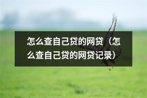怎么查自己贷的网贷（怎么查自己贷的网贷记录）