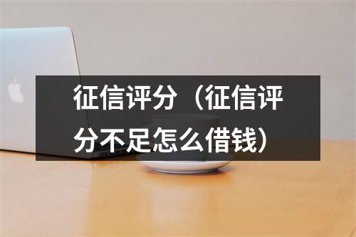 征信评分（征信评分不足怎么借钱）