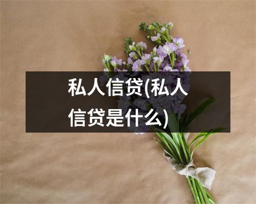私人信贷(私人信贷是什么)