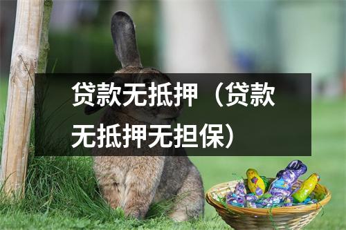 贷款无抵押（贷款无抵押无担保）