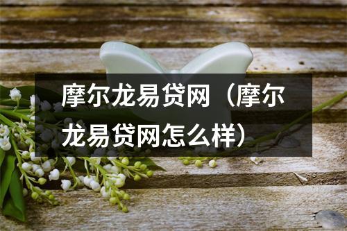 摩尔龙易贷网(摩尔龙易贷网怎么样)