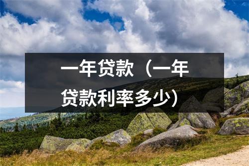 一年贷款（一年贷款利率多少）
