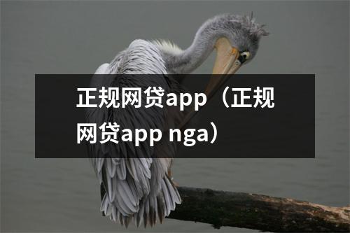 正规网贷app(正规网贷app nga)