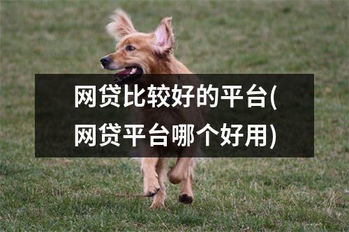 网贷比较好的平台(网贷平台哪个好用)