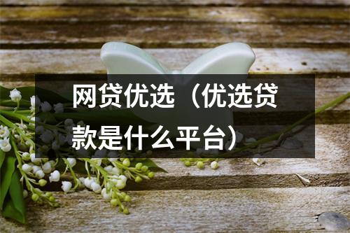 网贷优选(优选贷款是什么平台)