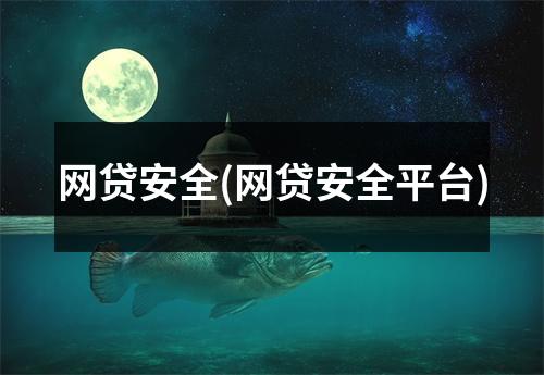 网贷安全(网贷安全平台)