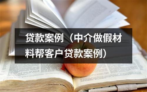 贷款案例（中介做假材料帮客户贷款案例）