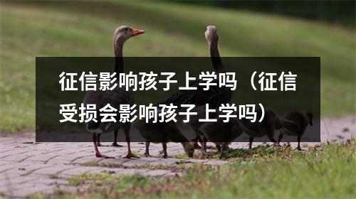 征信影响孩子上学吗（征信受损会影响孩子上学吗）