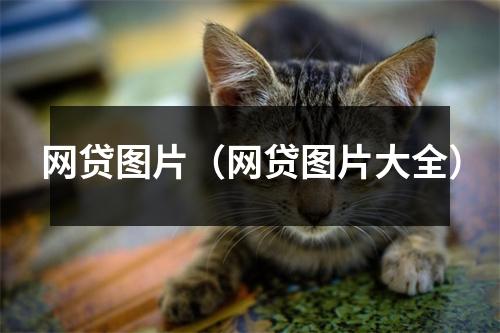 网贷图片（网贷图片大全）