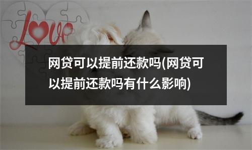 网贷可以提前还款吗(网贷可以提前还款吗有什么影响)