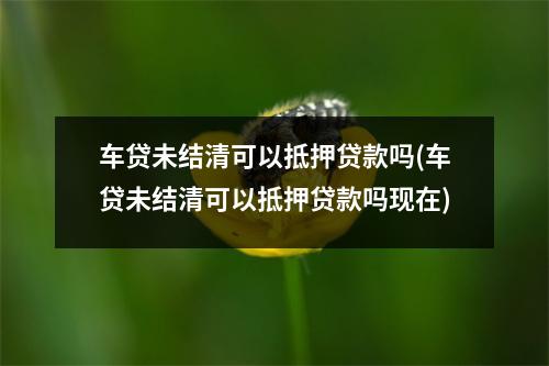 车贷未结清可以抵押贷款吗(车贷未结清可以抵押贷款吗现在)