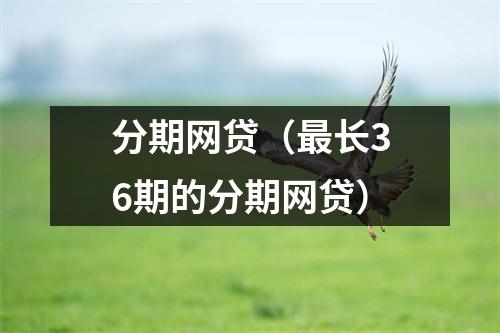 分期网贷(最长36期的分期网贷)