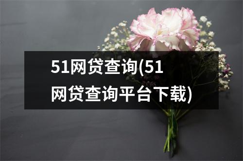 51网贷查询(51网贷查询平台下载)