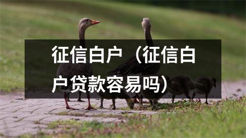 征信白户(征信白户贷款容易吗)