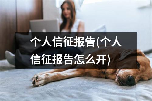 个人信征报告(个人信征报告怎么开)