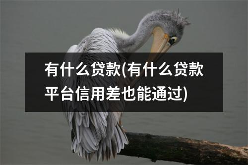 有什么贷款(有什么贷款平台信用差也能通过)