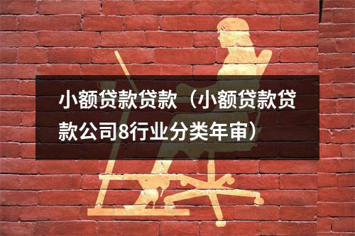 小额贷款贷款（小额贷款贷款公司8行业分类年审）
