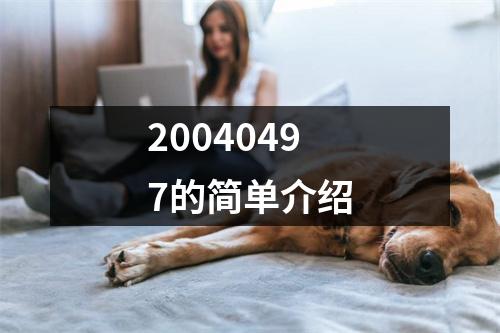 20040497的简单介绍