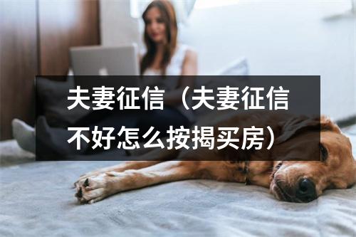 夫妻征信（夫妻征信不好怎么按揭买房）