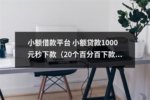 小额借款平台 小额贷款1000元秒下款(20个百分百下款1000的口子)