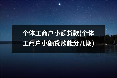 个体工商户小额贷款(个体工商户小额贷款能分几期)
