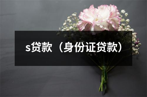 s贷款（身份证贷款）