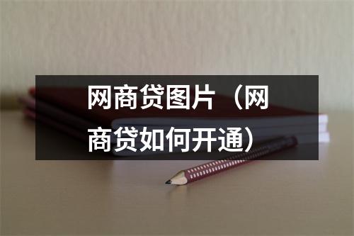 网商贷图片（网商贷如何开通）
