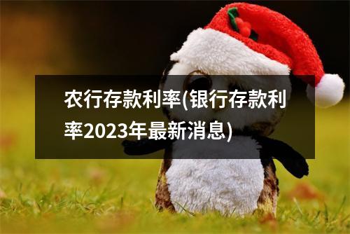 农行存款利率(银行存款利率2023年最新消息)