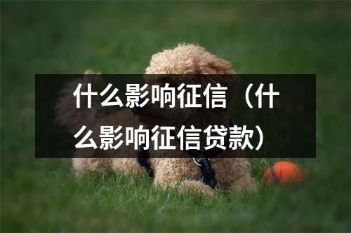 什么影响征信（什么影响征信贷款）