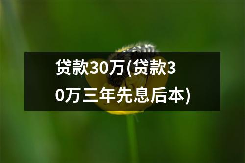 贷款30万(贷款30万三年先息后本)
