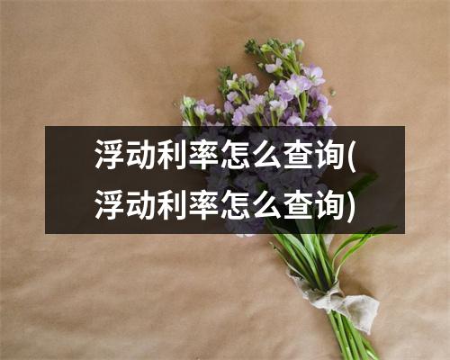 浮动利率怎么查询(浮动利率怎么查询)