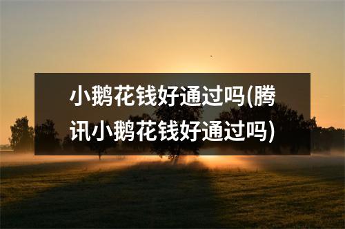 小鹅花钱好通过吗(腾讯小鹅花钱好通过吗)