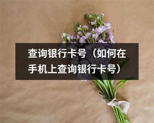 查询银行卡号（如何在手机上查询银行卡号）