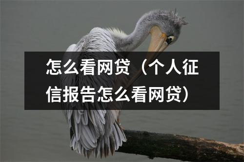 怎么看网贷（个人征信报告怎么看网贷）