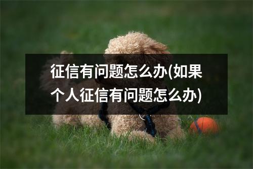 征信有问题怎么办(如果个人征信有问题怎么办)