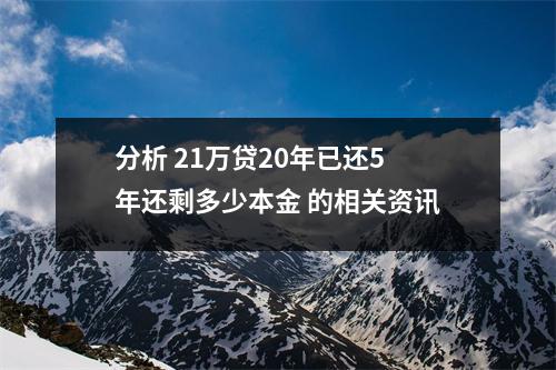分析 21万贷20年已还5年还剩多少本金 的相关资讯