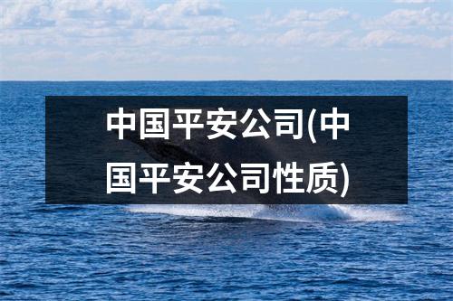 中国平安公司(中国平安公司性质)