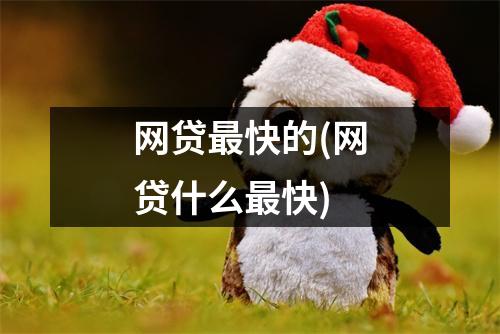 网贷最快的(网贷什么最快)