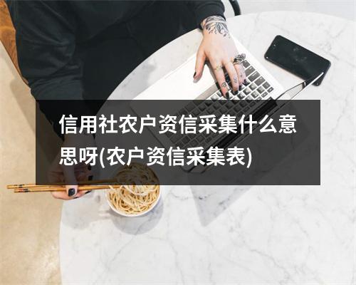 信用社农户资信采集什么意思呀(农户资信采集表)