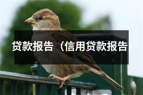 贷款报告（信用贷款报告）